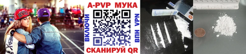 A PVP VHQ  Хасавюрт 