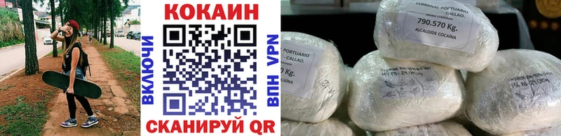 купить наркотики сайты  блэк спрут ТОР  КОКАИН FishScale  Хасавюрт 