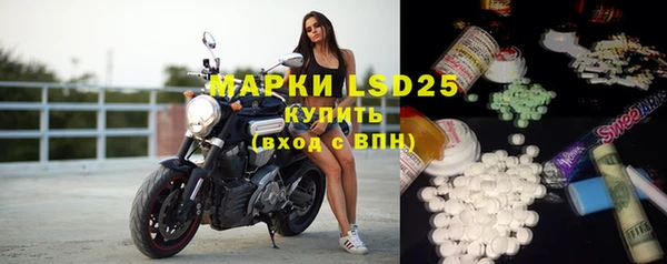 шишки Абаза