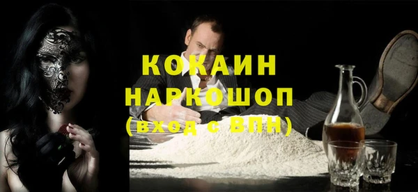шишки Абаза