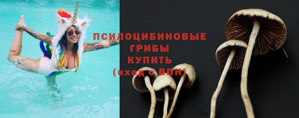 шишки Абаза
