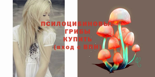 сатива Абинск