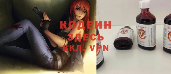 шишки Абаза