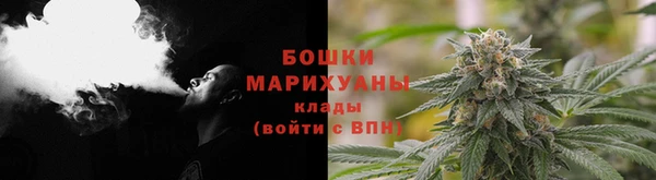 шишки Абаза