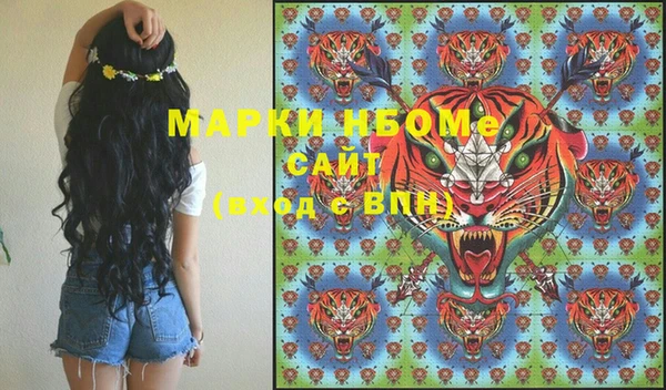 шишки Абаза