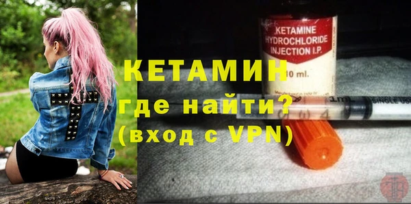 сатива Абинск