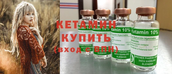 шишки Абаза