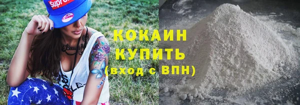 шишки Абаза