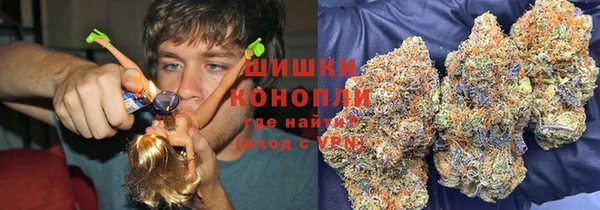 шишки Абаза