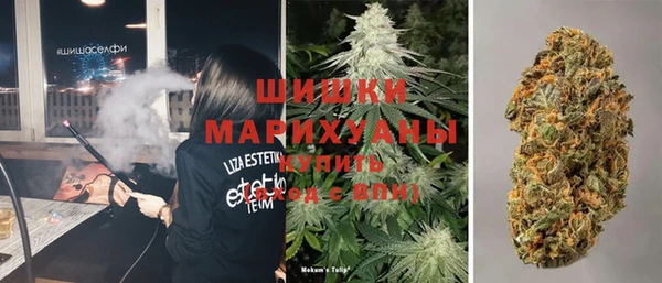 шишки Абаза