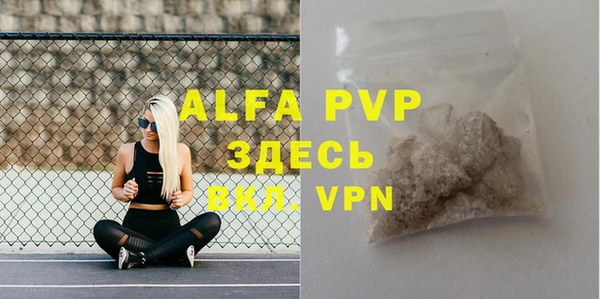 шишки Абаза