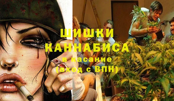 сатива Абинск