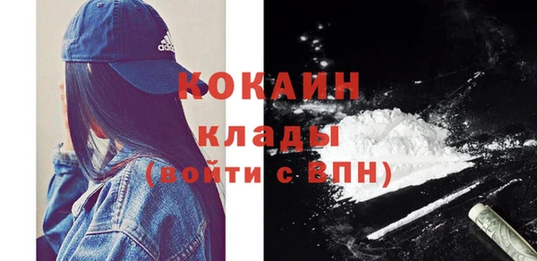 шишки Абаза