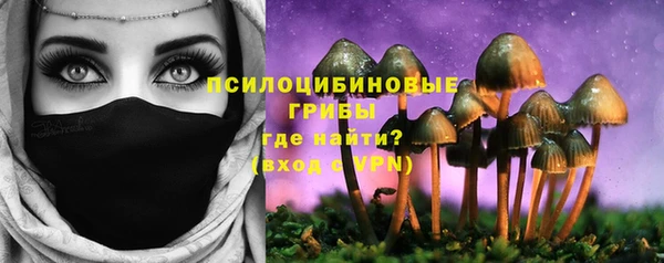 шишки Абаза