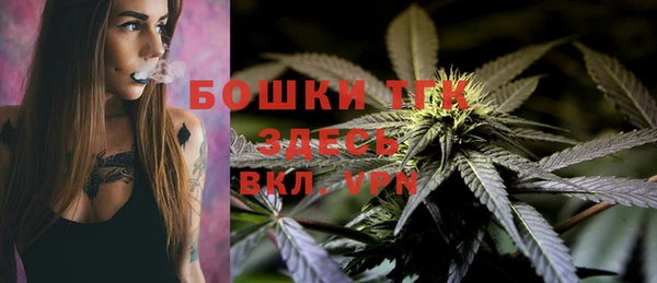 шишки Абаза