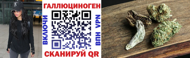 цена   Хасавюрт  Псилоцибиновые грибы Magic Shrooms 