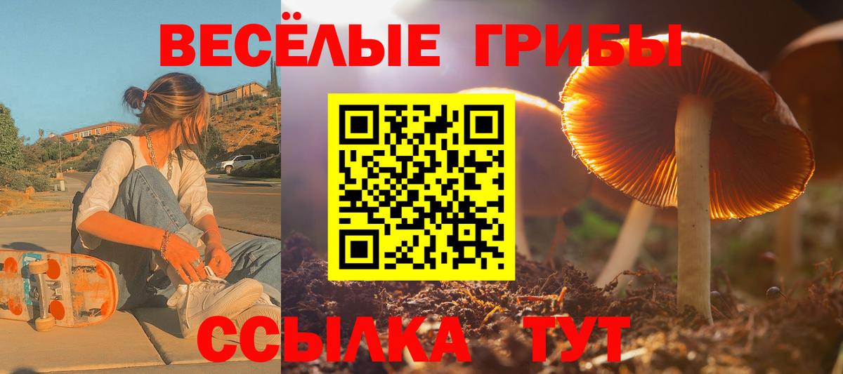 Псилоцибиновые грибы Magic Shrooms  Вход с VPN  Хасавюрт  Галлюциногенные грибы мухоморы 